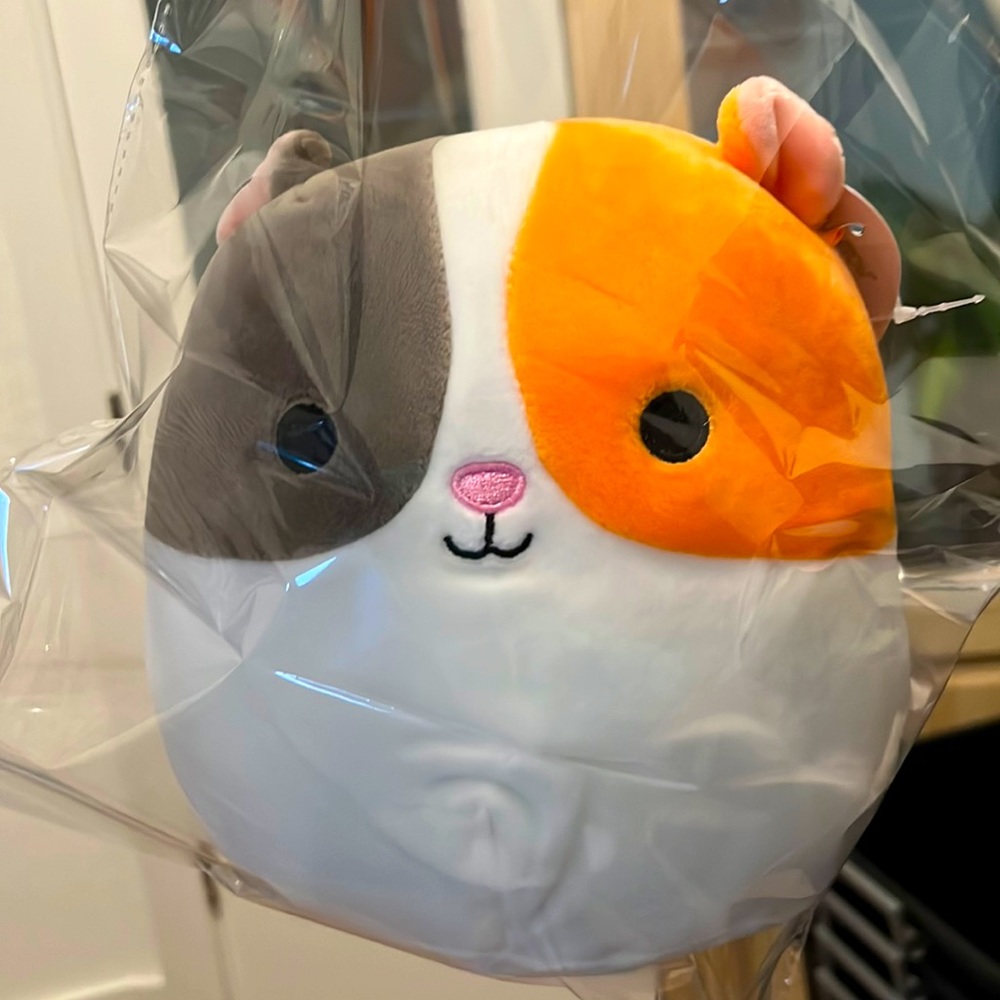 Everett the Hamster 7” Squishmallow